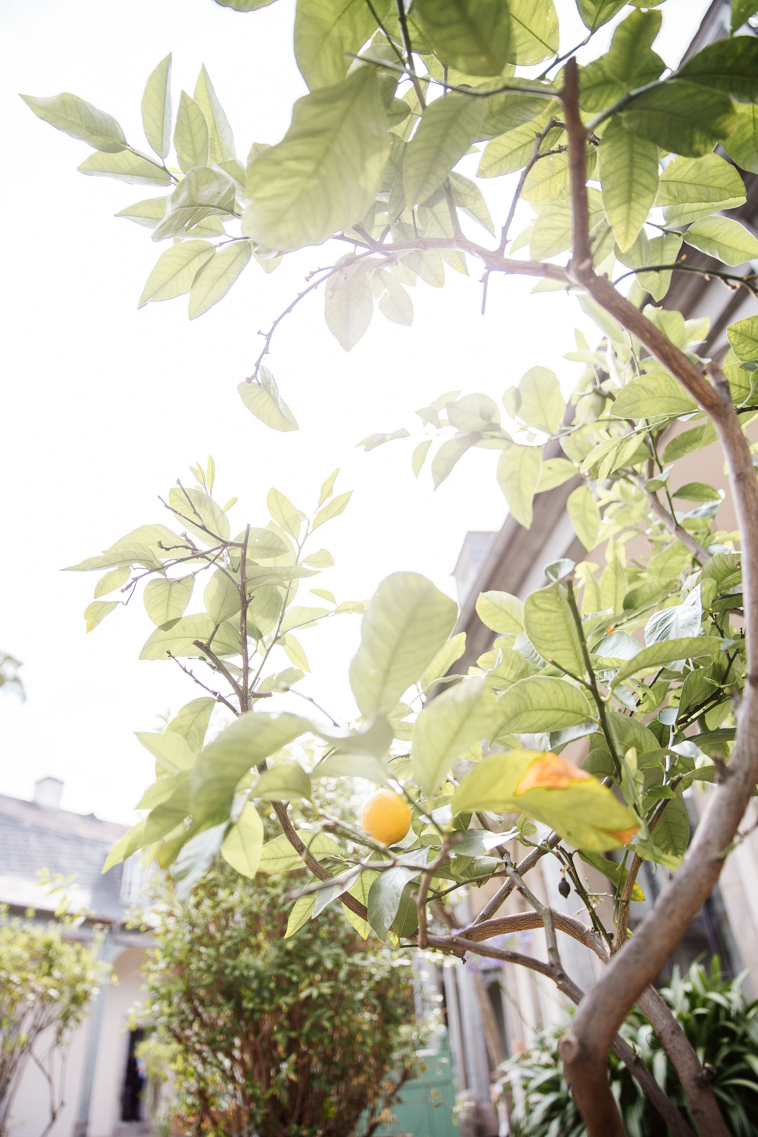 Buschenhofen, Fotografie, Hochzeit, Reportage, Benrath, Düsseldorf, Benrather Schloss, Schloss, Hochzeitsreportage