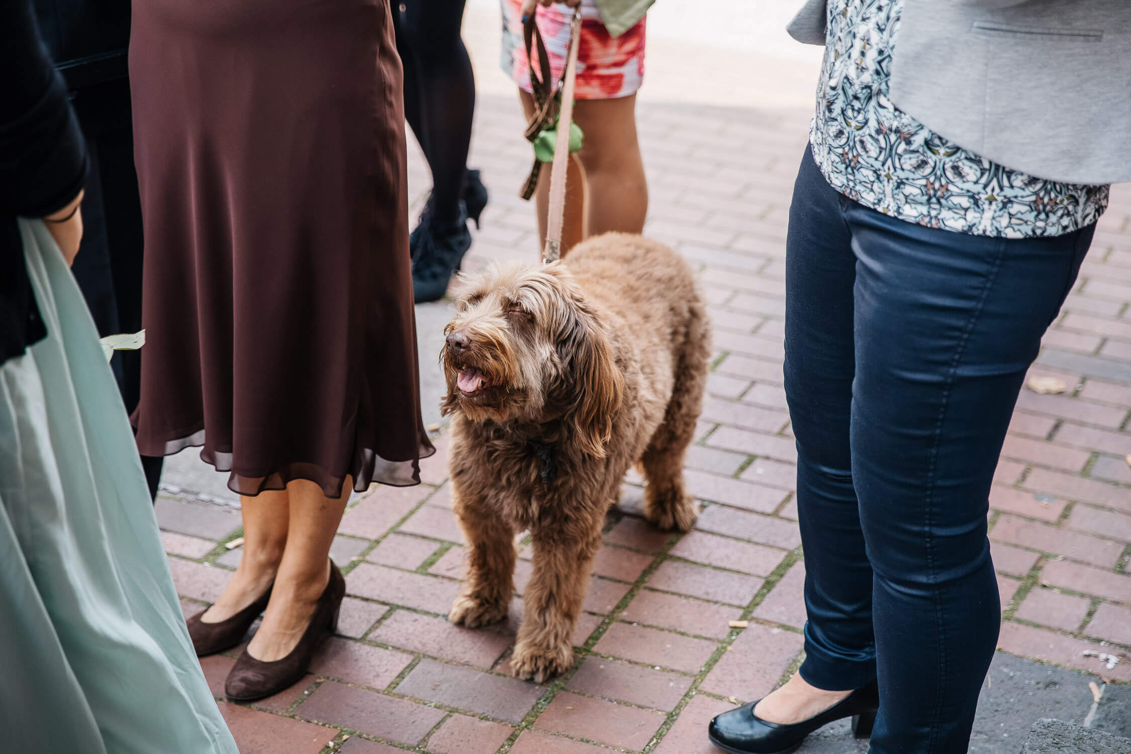Nina Buschenhofen, Fotografie, Monheim, Rhein, Standesamt, Hochzeitsreportage, Reportage, Hochzeit, Sand, Meer