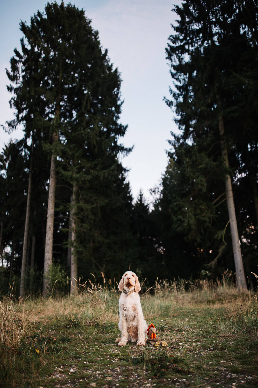 Nina Buschenhofen, Reportage, Portrait, Shooting, Portraitshooting, Familienshooting, Freundinnenshooting