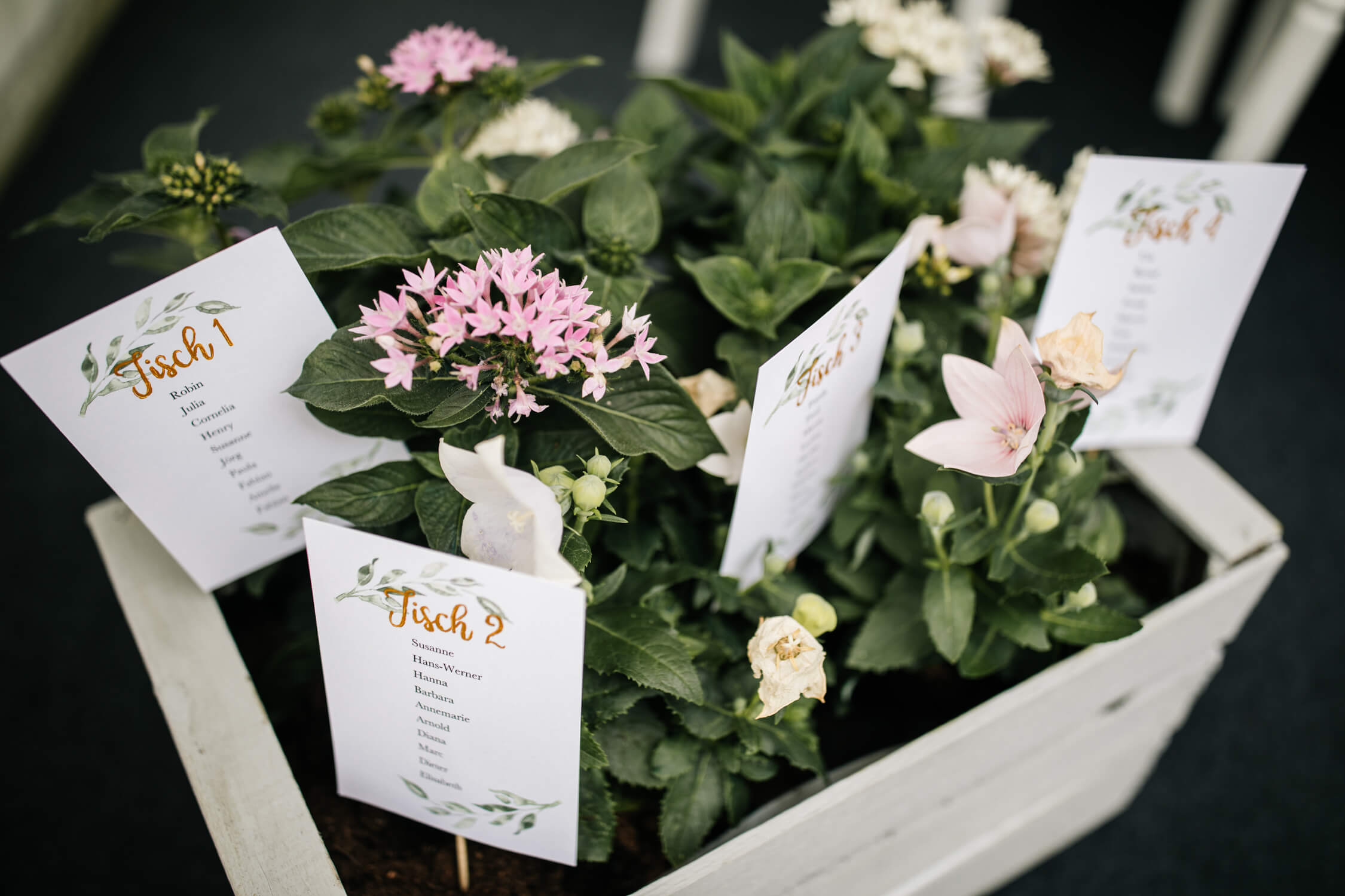 Standesamt, Krefeld, Garten, Freie Trauung, Hochzeitsreportage, Hochzeit, Hochzeitsfotograf, Reportage, Nina Buschenhofen, Liebe, Hochzeitsfotografie