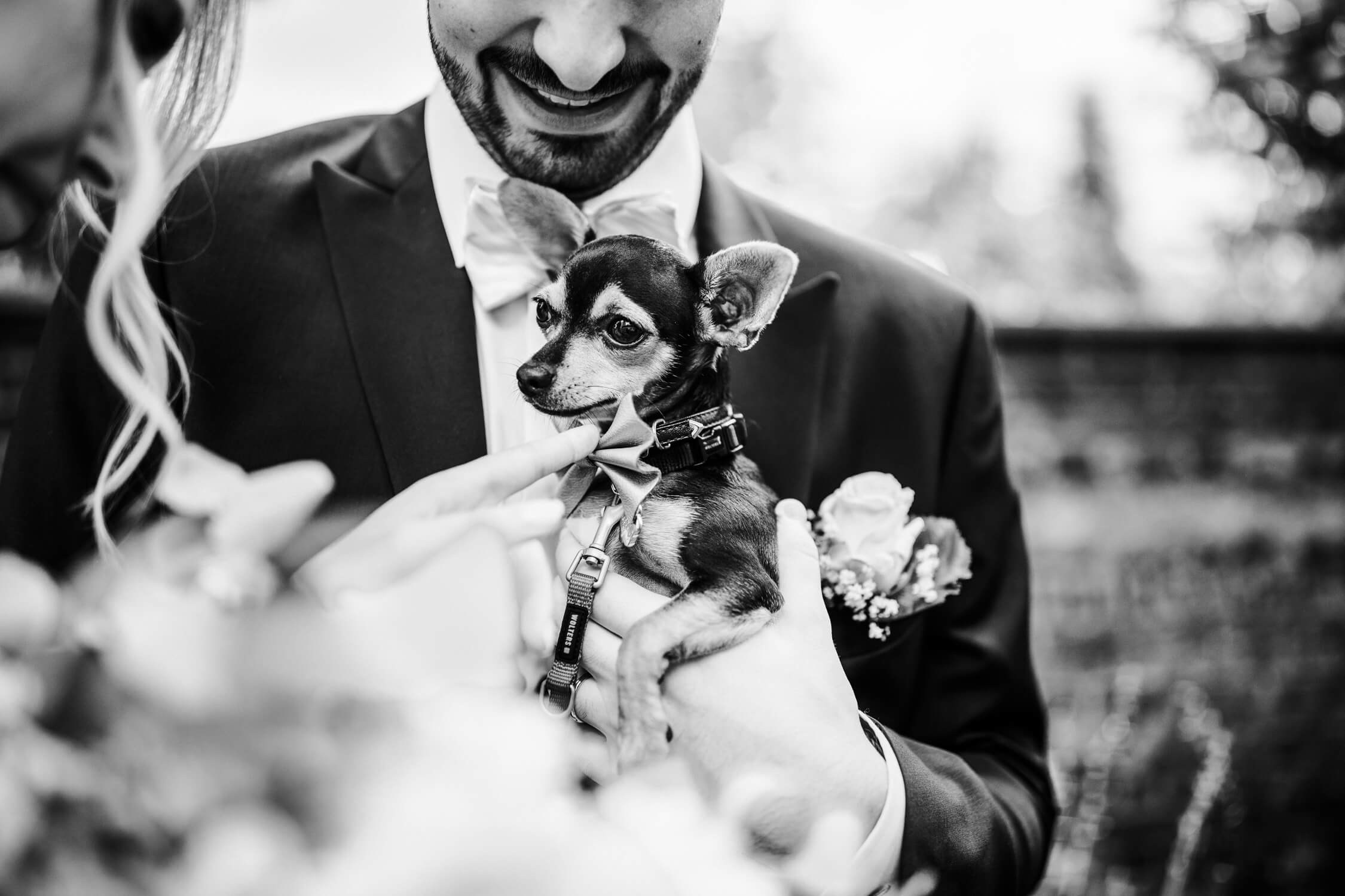 Standesamt, Krefeld, Garten, Freie Trauung, Hochzeitsreportage, Hochzeit, Hochzeitsfotograf, Reportage, Nina Buschenhofen, Liebe, Hochzeitsfotografie