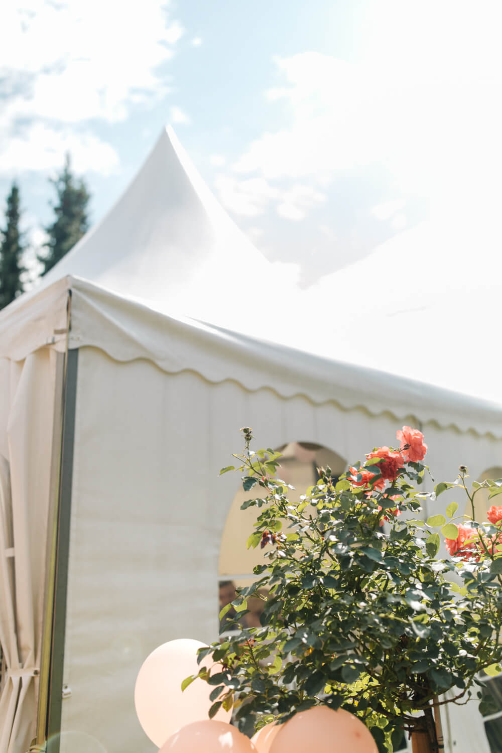 Standesamt, Krefeld, Garten, Freie Trauung, Hochzeitsreportage, Hochzeit, Hochzeitsfotograf, Reportage, Nina Buschenhofen, Liebe, Hochzeitsfotografie