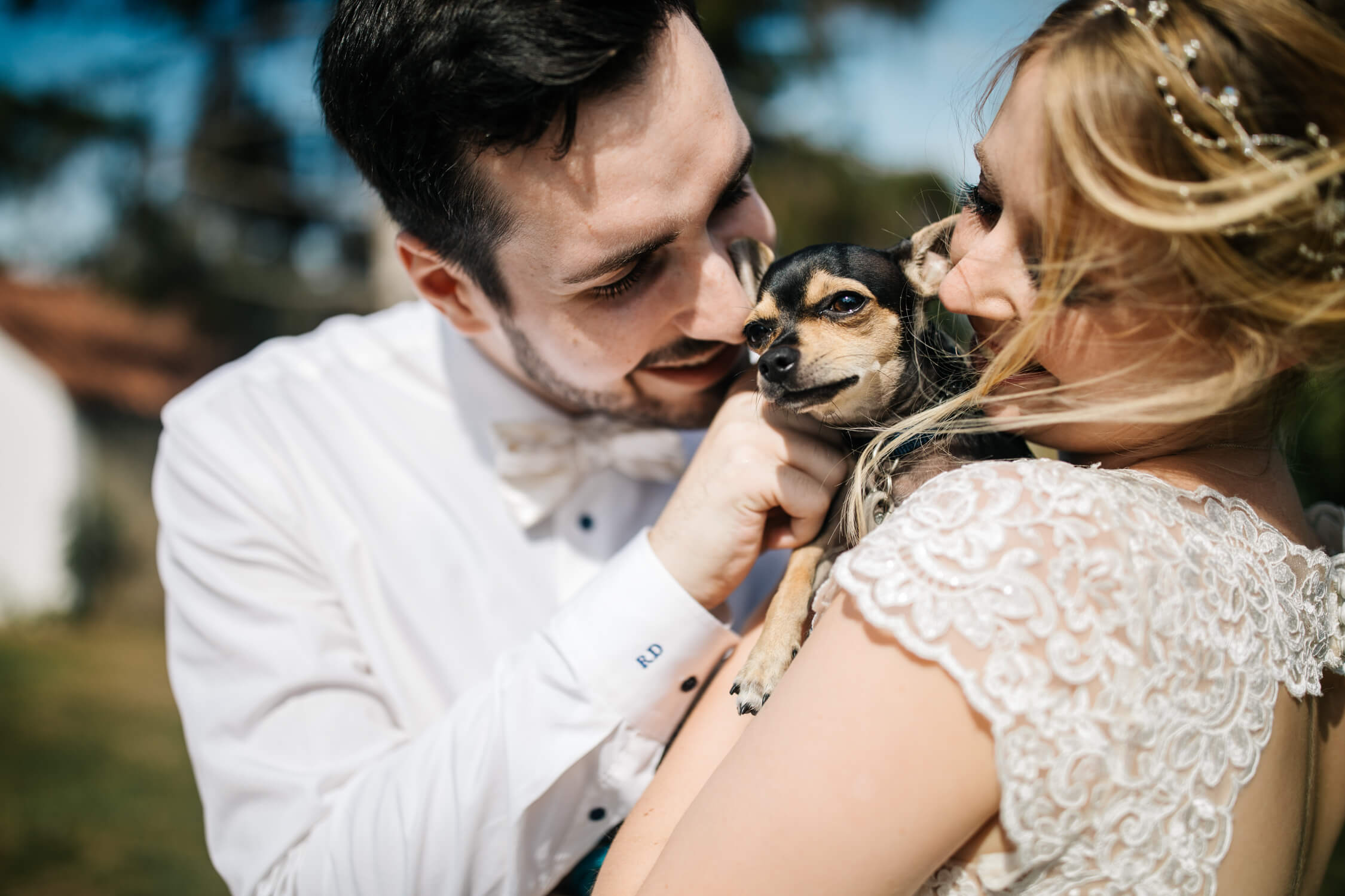 Standesamt, Krefeld, Garten, Freie Trauung, Hochzeitsreportage, Hochzeit, Hochzeitsfotograf, Reportage, Nina Buschenhofen, Liebe, Hochzeitsfotografie
