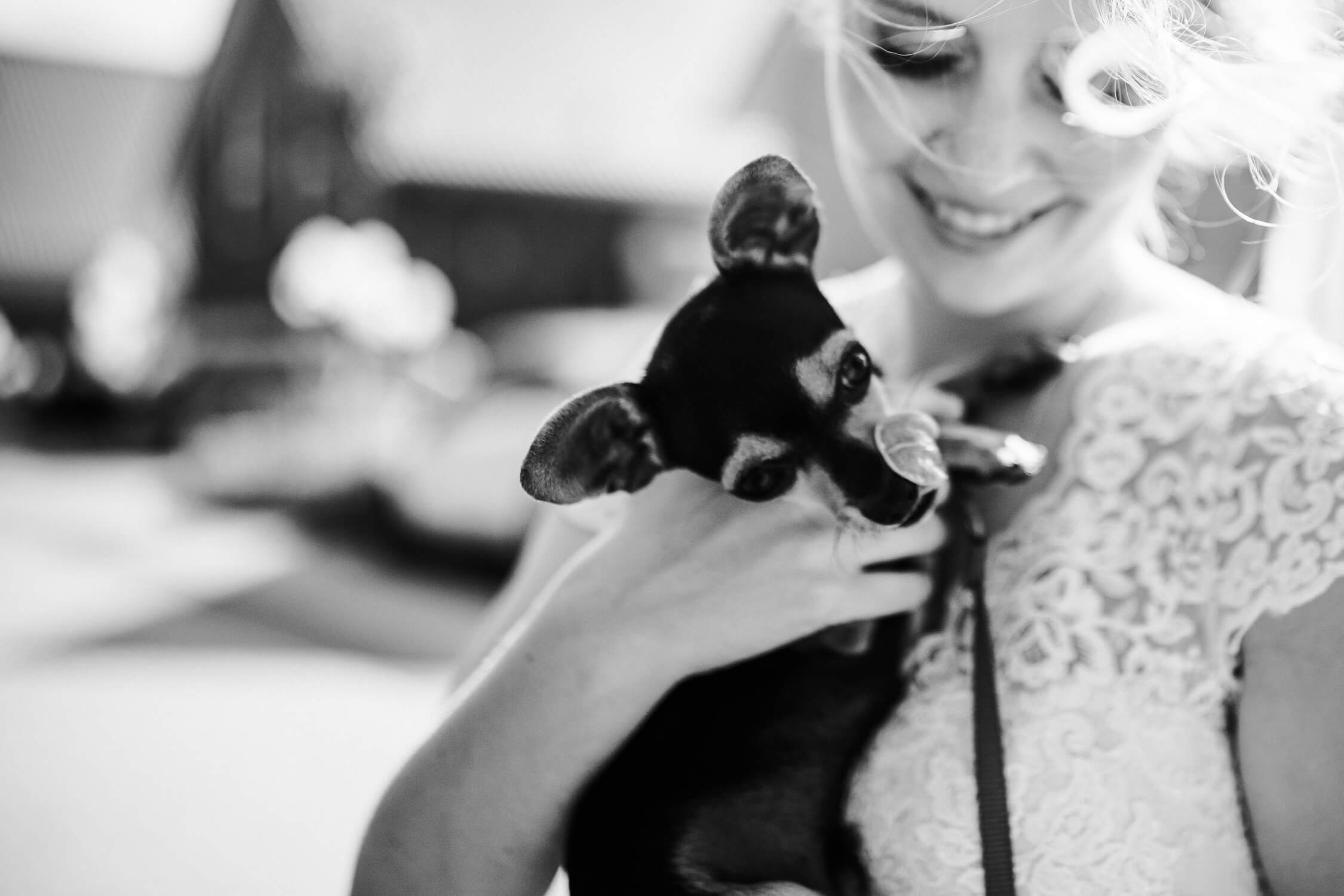 Standesamt, Krefeld, Garten, Freie Trauung, Hochzeitsreportage, Hochzeit, Hochzeitsfotograf, Reportage, Nina Buschenhofen, Liebe, Hochzeitsfotografie